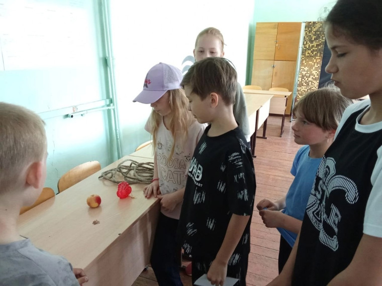 ЛДП " 5 день смены".